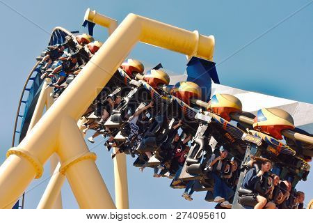 Tampa, Florida. October 25, 2018  People Ride Giant Montu Roller Coaster At Bush Gardens Tampa Bay .