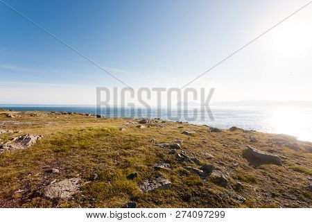 Hvalnes Lava Beach Landscape, East Iceland Landmark