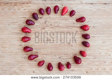 Bright Red Dogwood (cornel) On Wooden Background In Circle Shape. Close Up, Indoors, Copy Space.