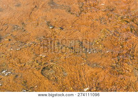 Rust Colored Ground From Geothermal Water Activity In Yellowstone National Park. Colorful Bacteria M