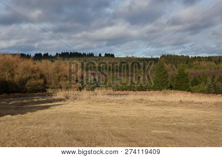 Nature Of Krusne Hory Ore Mountains Near Lesna Village In Czech Landscape On 8Th December 2018