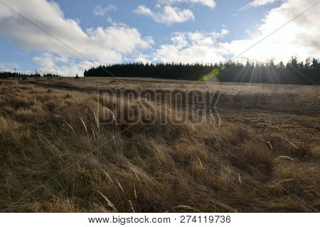 Nature Of Krusne Hory Ore Mountains Near Lesna Village In Czech Landscape On 8Th December 2018
