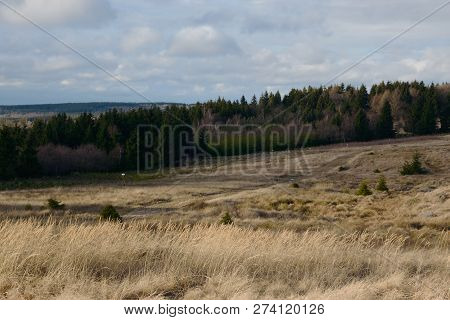 Nature Of Krusne Hory Ore Mountains Near Lesna Village In Czech Landscape On 8Th December 2018