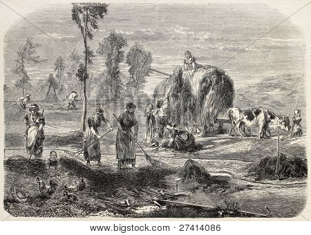 Haymaking ใน Auvergne ภาพเก่า โดยผู้เขียนไม่ได้ระบุ ประกาศ L'Illustration, Journa