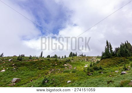 Clouds Hide Deep Blue Sky Over Subalpine Meadow In Washington
