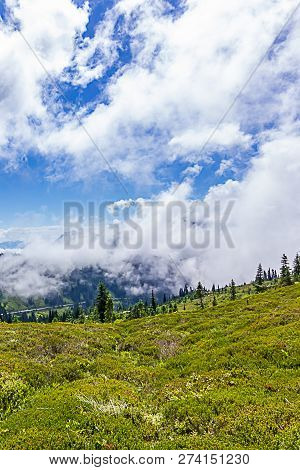 Dramatic Clouds Group Over Subalpine Meadow At Mount Rainier National Forest