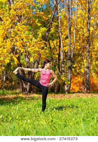 Yoga Utthita Parshvasahita