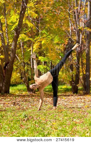 Yoga Ardha Chandrasana Pose