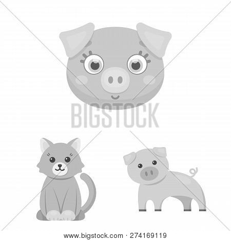 Vector Illustration Of Animal And Habitat Logo. Set Of Animal And Farm Vector Icon For Stock.