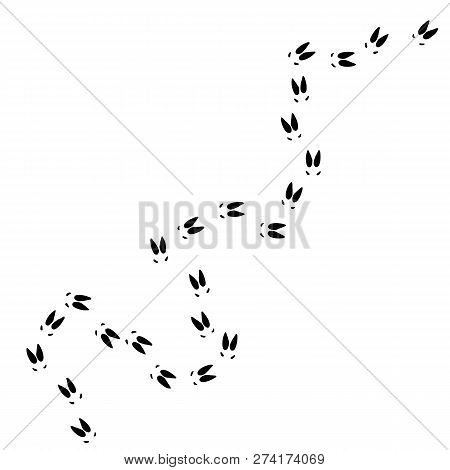 Elk Foot Prints. Vector Illustration. Wild Animal Imprint