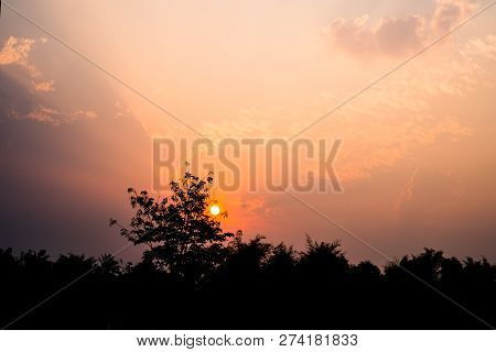 Natural Of Sunset Sunrise For Bright Dramatic Cloud Sky With Coconut Trees. Landscape Of Countryside
