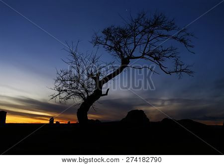 Spooky Tree Silhouette With Dramatic Wintery Sky