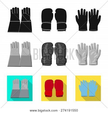 Vector Design Of Glove And Winter Symbol. Collection Of Glove And Equipment Vector Icon For Stock.
