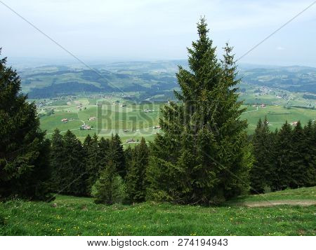 Pastures And Hills Of The Zürchersmühle Village - Canton Of Appenzell Ausserrhoden, Switzerland