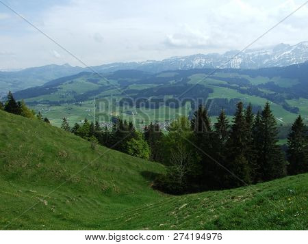 Pastures And Hills Of The Zürchersmühle Village - Canton Of Appenzell Ausserrhoden, Switzerland