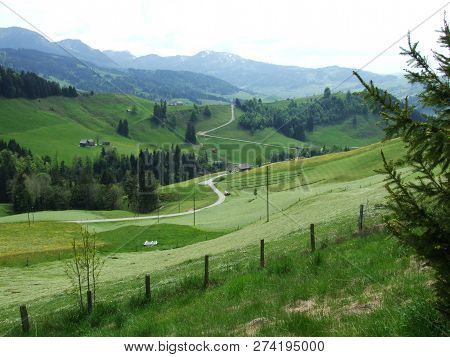 Farms And Pastures Of The Zürchersmühle Village - Canton Of Appenzell Ausserrhoden, Switzerland