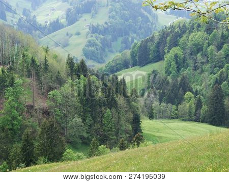 Pastures And Hills Of The Zürchersmühle Village - Canton Of Appenzell Ausserrhoden, Switzerland
