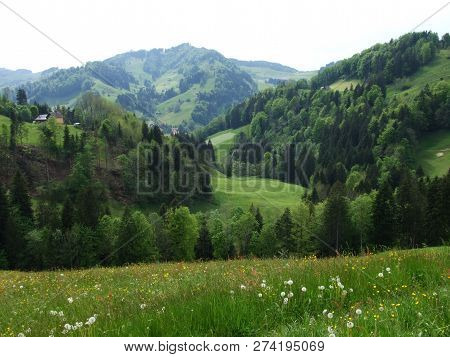 Pastures And Hills Of The Zürchersmühle Village - Canton Of Appenzell Ausserrhoden, Switzerland