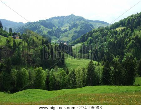 Pastures And Hills Of The Zürchersmühle Village - Canton Of Appenzell Ausserrhoden, Switzerland