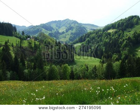 Pastures And Hills Of The Zürchersmühle Village - Canton Of Appenzell Ausserrhoden, Switzerland