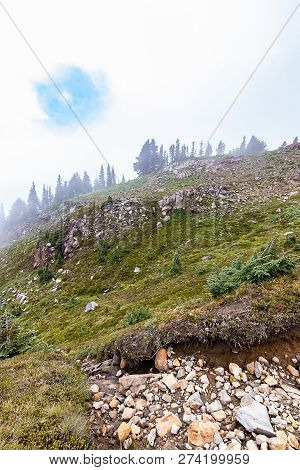 Tall Steap Hillside Near Mount Rainier With White Clouds And Fog