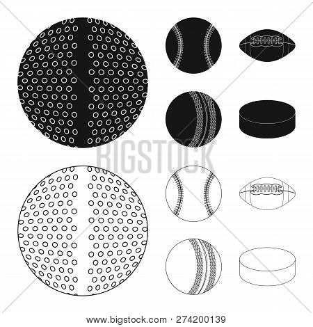 Isolated Object Of Sport And Ball Symbol. Set Of Sport And Athletic Stock Symbol For Web.