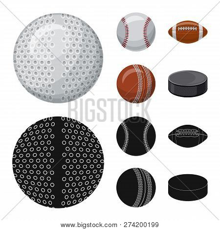 Isolated Object Of Sport And Ball Sign. Set Of Sport And Athletic Stock Vector Illustration.