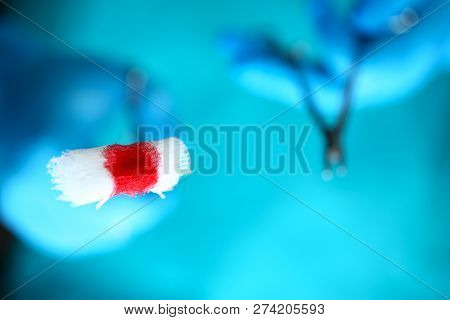 Surgeon In Sterile Uniform Arms Holding And Passing To Colleague Tools With Bio Material Wad Closeup