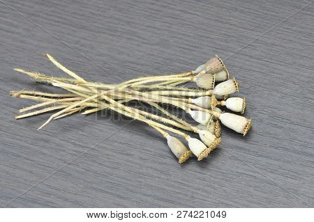 Stalk Papaver Somniferum On A Wooden Black Background