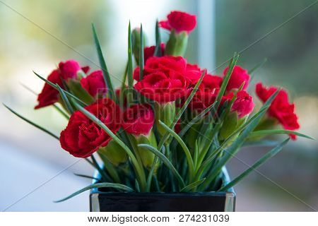 Bouquet Of Red Carnations In A Black Vase