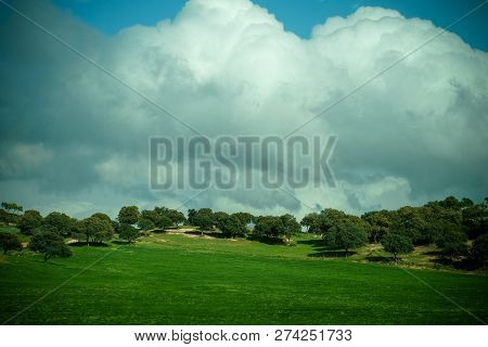 Road To Andalusia.spain.fine Places Near Seville.road To Andalusia.spain