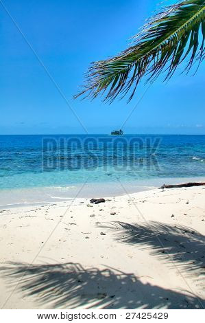 Tropical Oceano