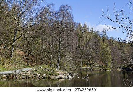 A View Of Tarn Hows In The Lake District