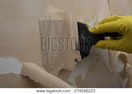 Cleaning The Wall From Old Wallpaper