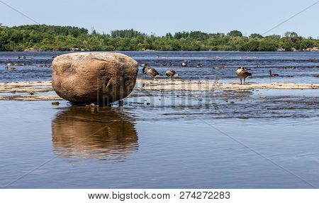 Horizontal Of A Giant Rock Near The Shore Of The Ottawa River With Geese Swimming In The Water, On A