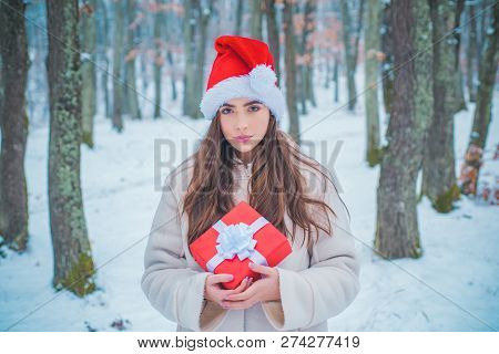 Portrait Of A Beautiful Woman Dressed A Coat. Beauty Winter Girl In Frosty Winter Park. Vintage Wint