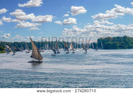 Feluccas Sailing Along The Nile River At Aswan - Egypt