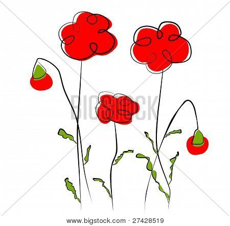 Bloemen - rode papaver