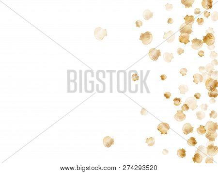 Gold Seashells Vector, Golden Pearl Bivalved Mollusks. Underwater Scallop, Bivalve Pearl Shell, Mari