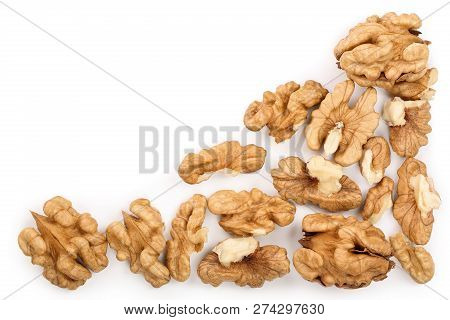 Peelled Walnuts Isolated On White Background With Copy Space For Your Text. Top View. Flat Lay