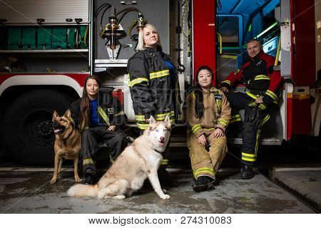 Photo of three firewomen,fireman and dog on background of fire truck