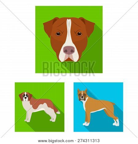 Vector Design Of  Cute  And  Logo. Collection Of  Cute  And  Vector Icon For Stock.
