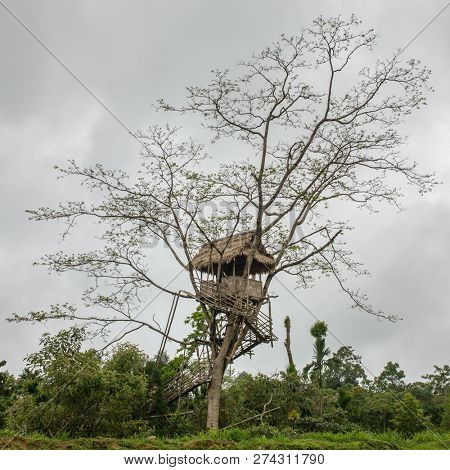 Simple tree house made from bamboo in Mawlynnong village, Meghalaya state, India