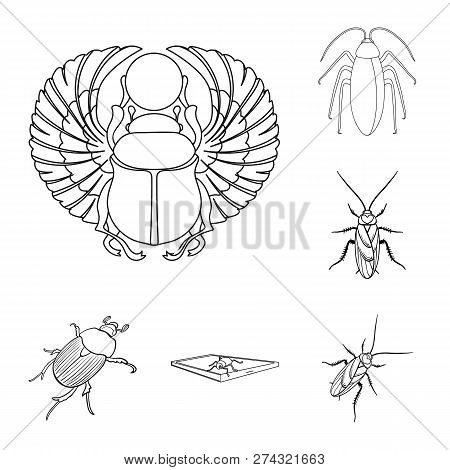 Isolated Object Of Insect And Beetle Icon. Set Of Insect And Halloween Vector Icon For Stock.