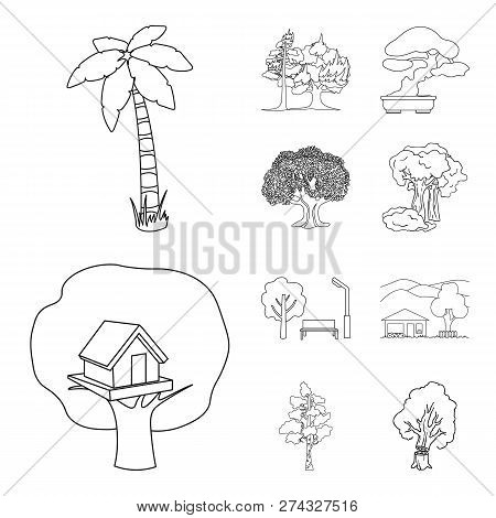 Vector Design Of Tree  And Forest Icon. Set Of Tree  And Green Stock Symbol For Web.