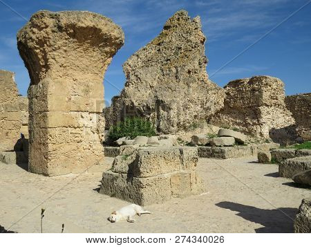 Carthago Ruins Of Capital City Of The Ancient Carthaginian Civilization. Unesco World Heritage Site.