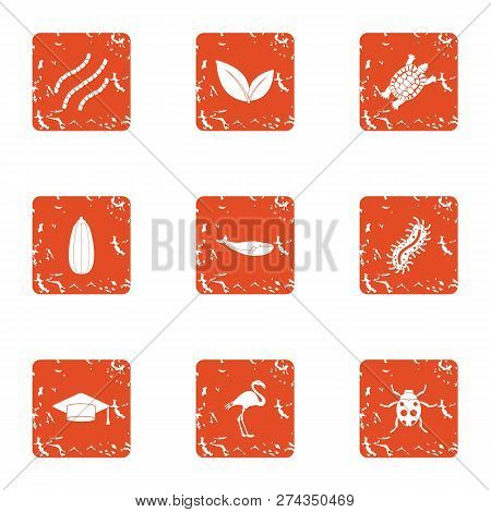 Biological Icons Set. Grunge Set Of 9 Biological Icons For Web Isolated On White Background