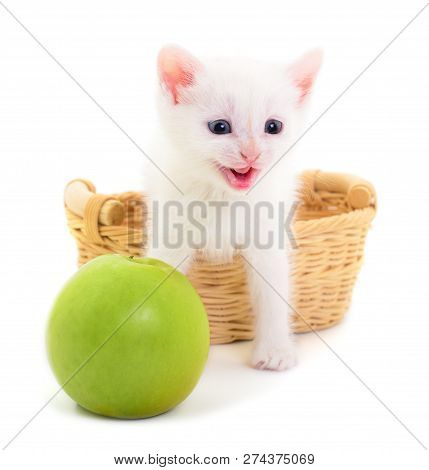 Kitty Sitting In Basket And Appleisolated On White Background.