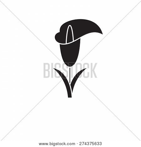 Calla Lily Black Vector Concept Icon. Calla Lily Flat Illustration, Sign