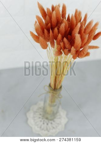 Bunny(rabbit) Tail Grass, Lagurus Dry Flower Bouquet On Wooden Background